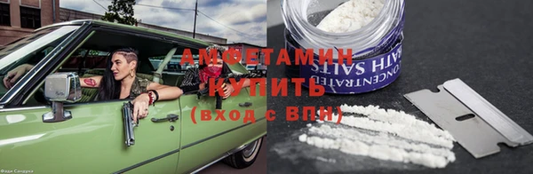 СК Ельня