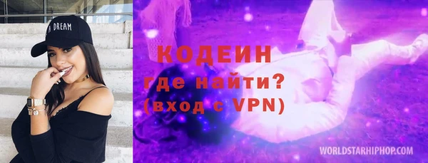 СК Ельня