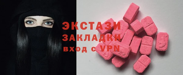 СК Ельня