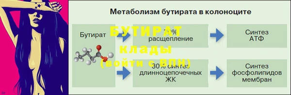 СК Ельня