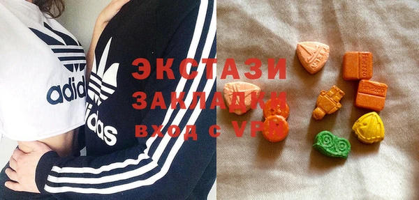СК Ельня