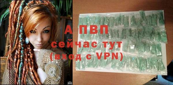 СК Ельня