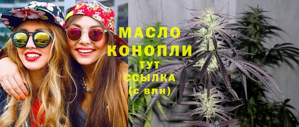 гидропоника Елабуга