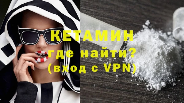 СК Ельня