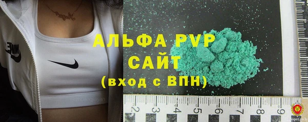 СК Ельня