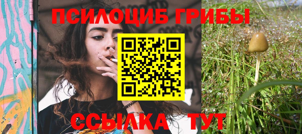 Псилоцибиновые грибы ЛСД  Сибай 
